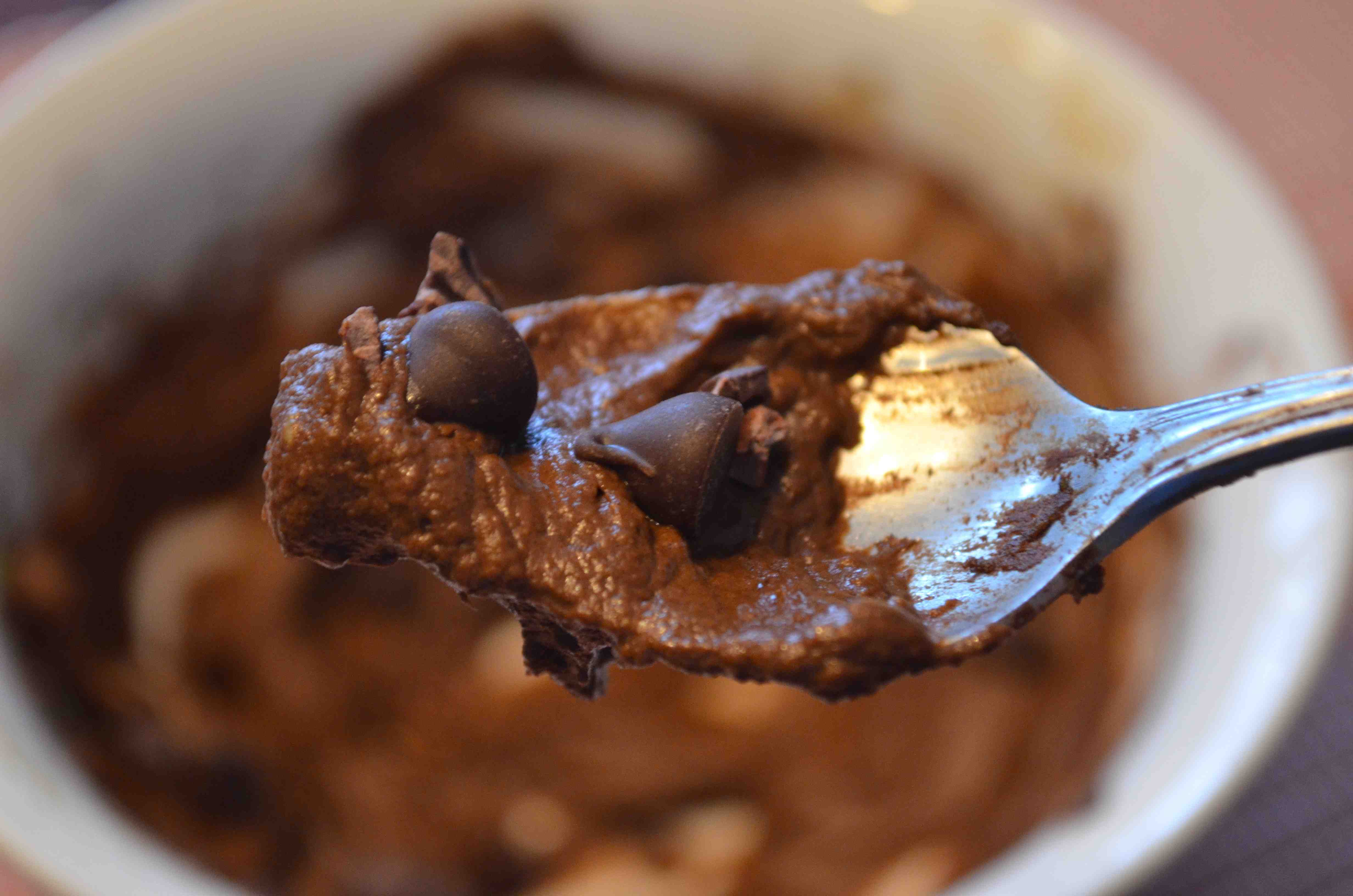 Paleo Chocolate Chip Pudding2